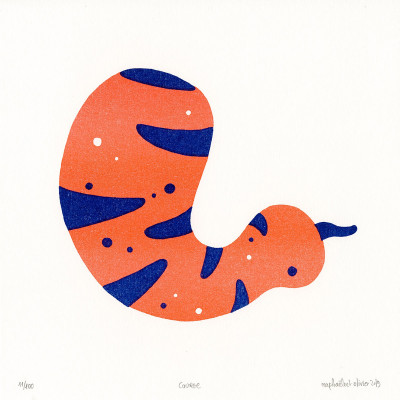 Amimots - Courge