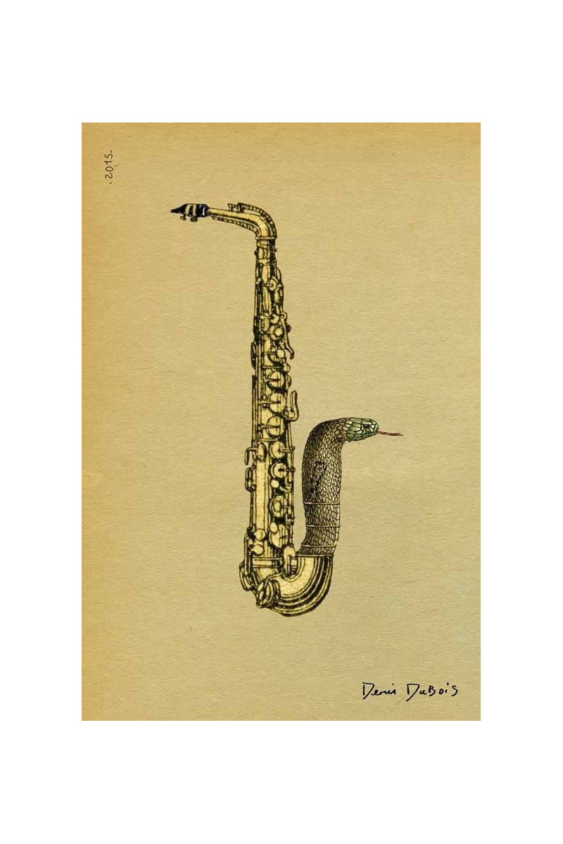 Saxo Naja Saxo Naja