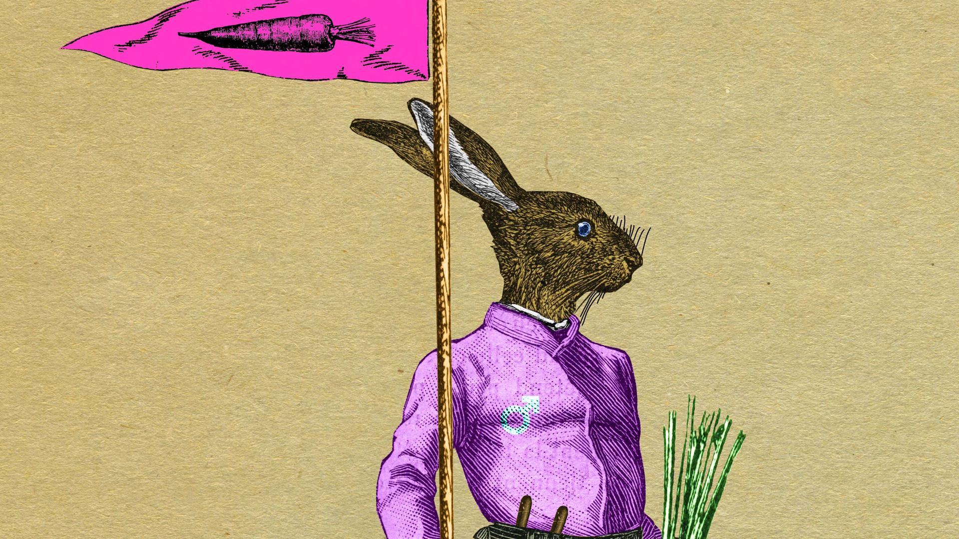 DENIS DUBOIS (Artiste)