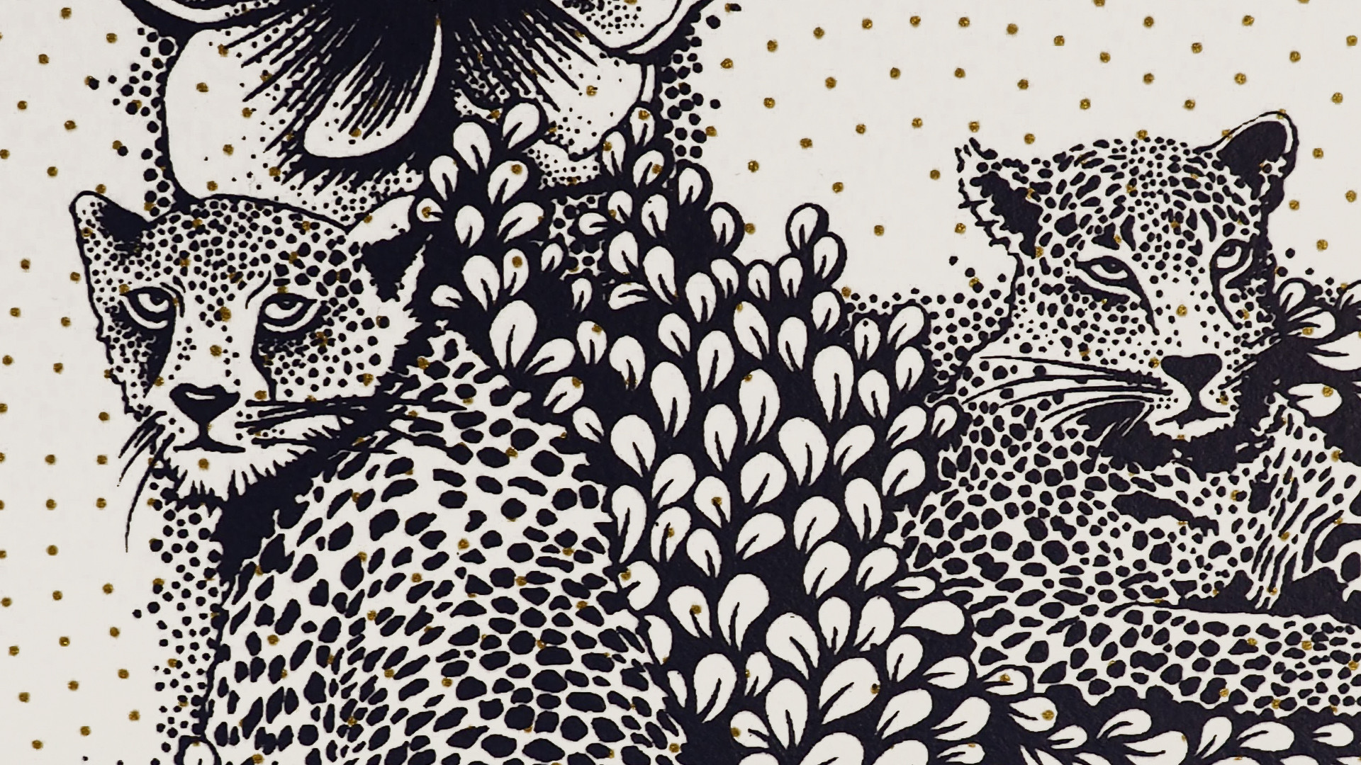 Valerié Hugo, artiste graphiste illustratrice