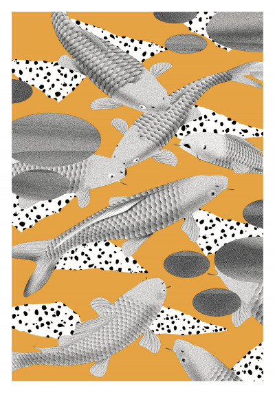 Carp Carp