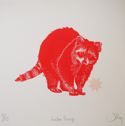 Raton Rouge
