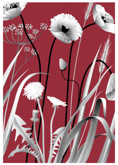 Wild into