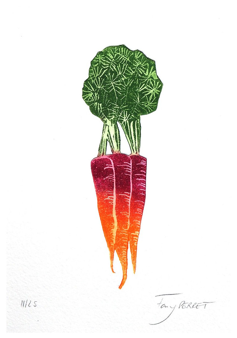 Carottes bicolores Carottes bicolores