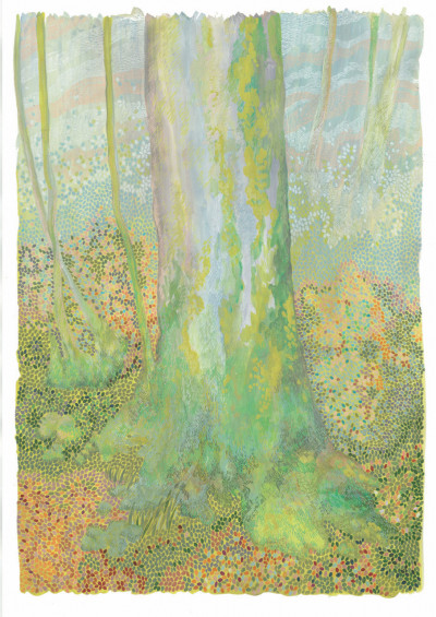 Spring Forest