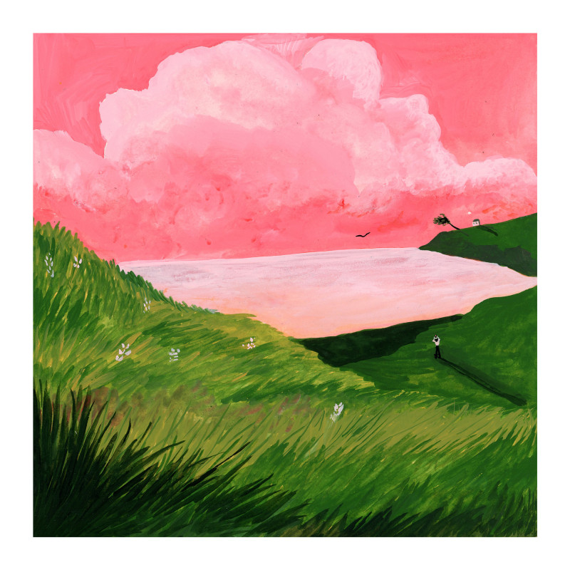 Ciel rose dans paysage vert