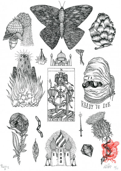 Flash Tatoo 2 - ELOBO