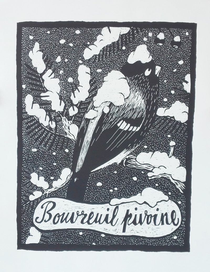 Bouvreuil pivoine - PHILLIP JANTA