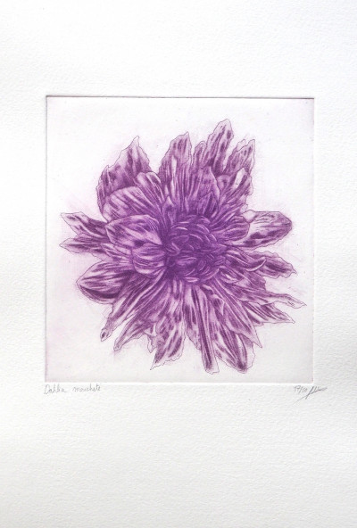 Dahlia moucheté 17/50