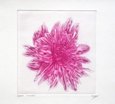 Dahlia moucheté 10/50