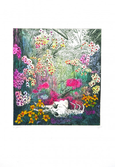 Le paisible (couleur) 14/50
