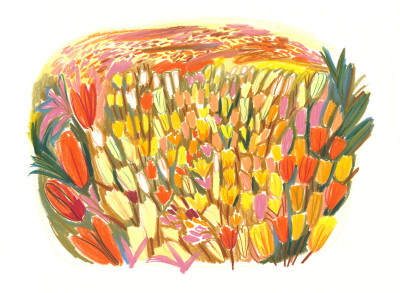 Champs de tulipes (oeuvre unique)