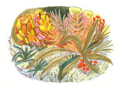 Belle plante (oeuvre unique)