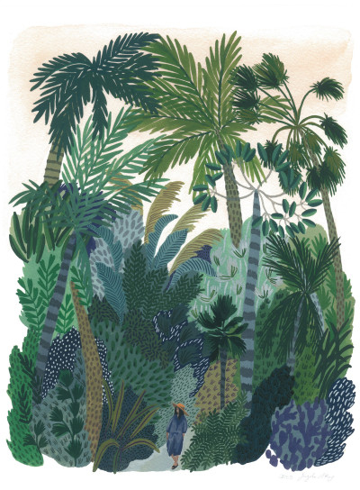 Andromeda Gardens (moyen)