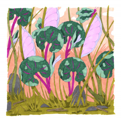 Plantes imaginaires