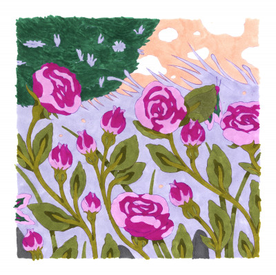 Rose et bouton