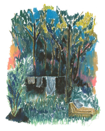 Quand la forêt devient sombre