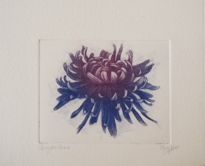 Chrysanthème 22/50