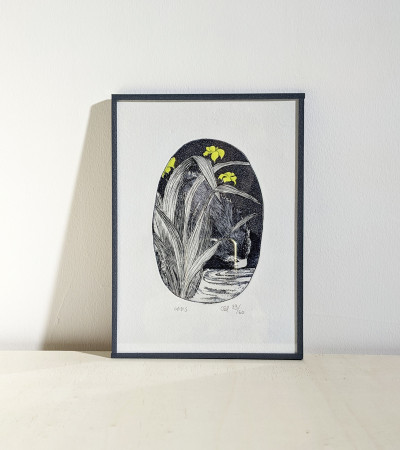 Oasis (SOUS VERRE)