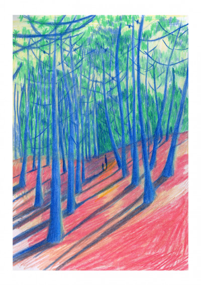 Bois de la bosse