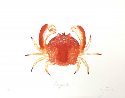 Hésperides