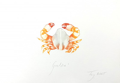 Gaaldine