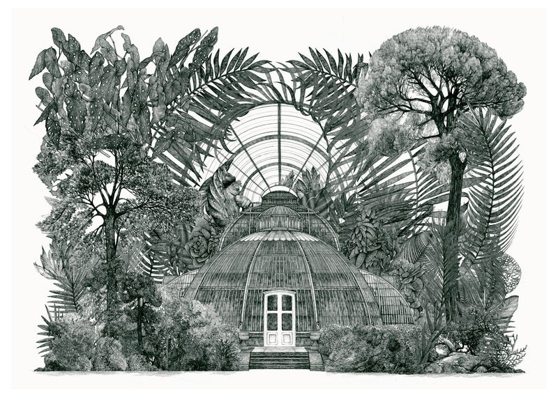Palm house panorama (2nd edition)
