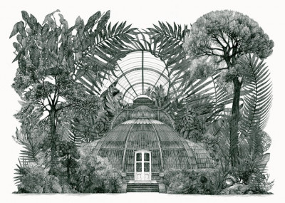 Palm house panorama (2e édition)