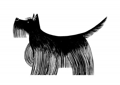 Le Scottish Terrier (petit)