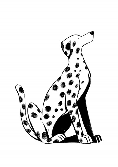 Le Dalmatien (petit)