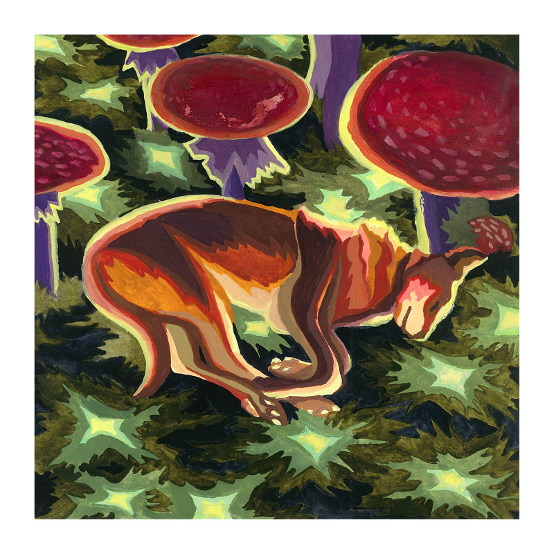 Sieste sous les champignons