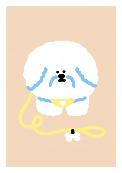 Balade Bichon