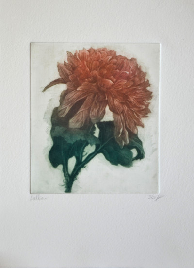 Dahlia 3/50
