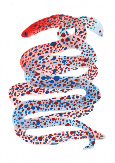 Serpents 1