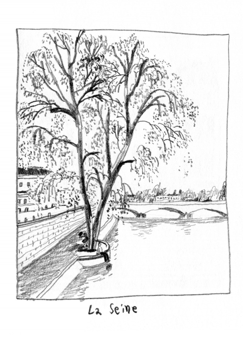 Croquis 4 - La Seine 2 (arbre)