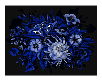 Fleur bleue
