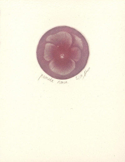 Pensée (rose)