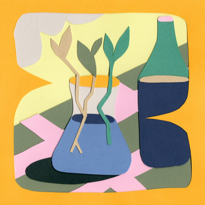 La bouture du dimanche (oeuvre unique)
