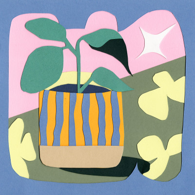 Plante grasse (oeuvre unique)