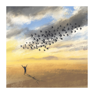 Birds