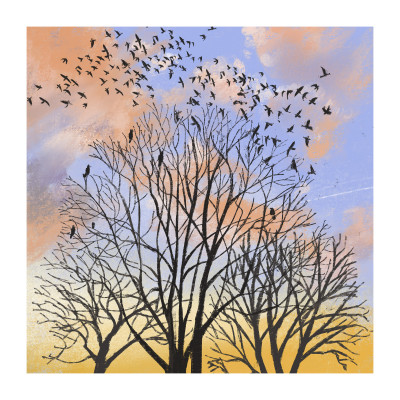 Coming home to roost