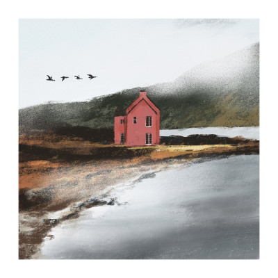 The pink house