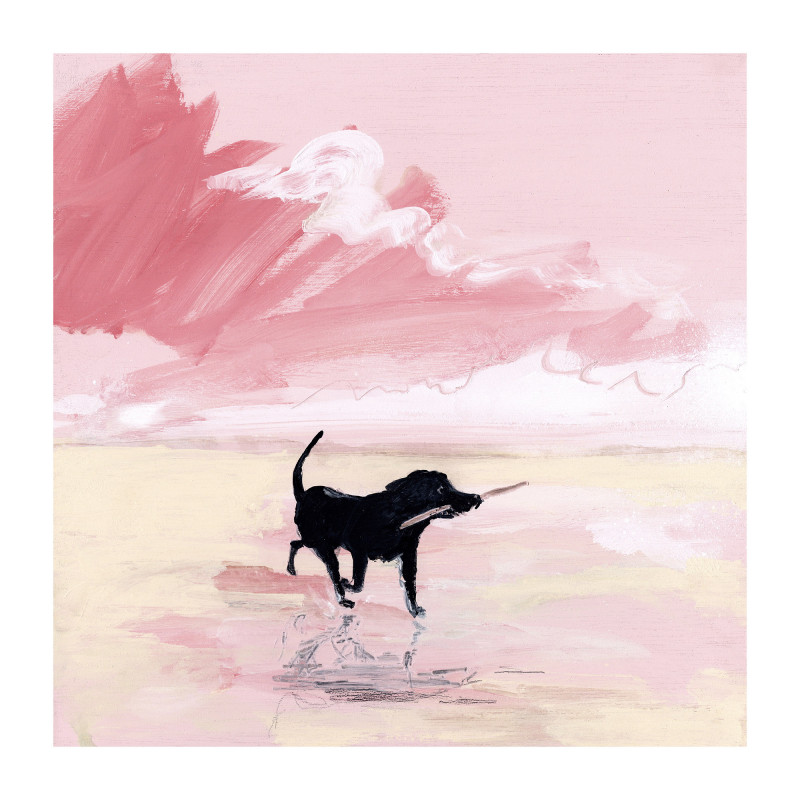 Black dog pink sky