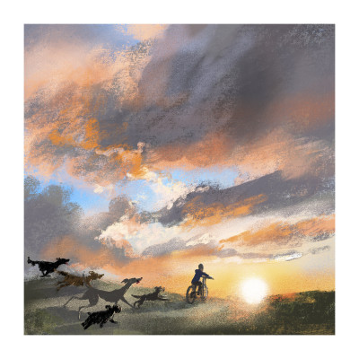 Evening ride