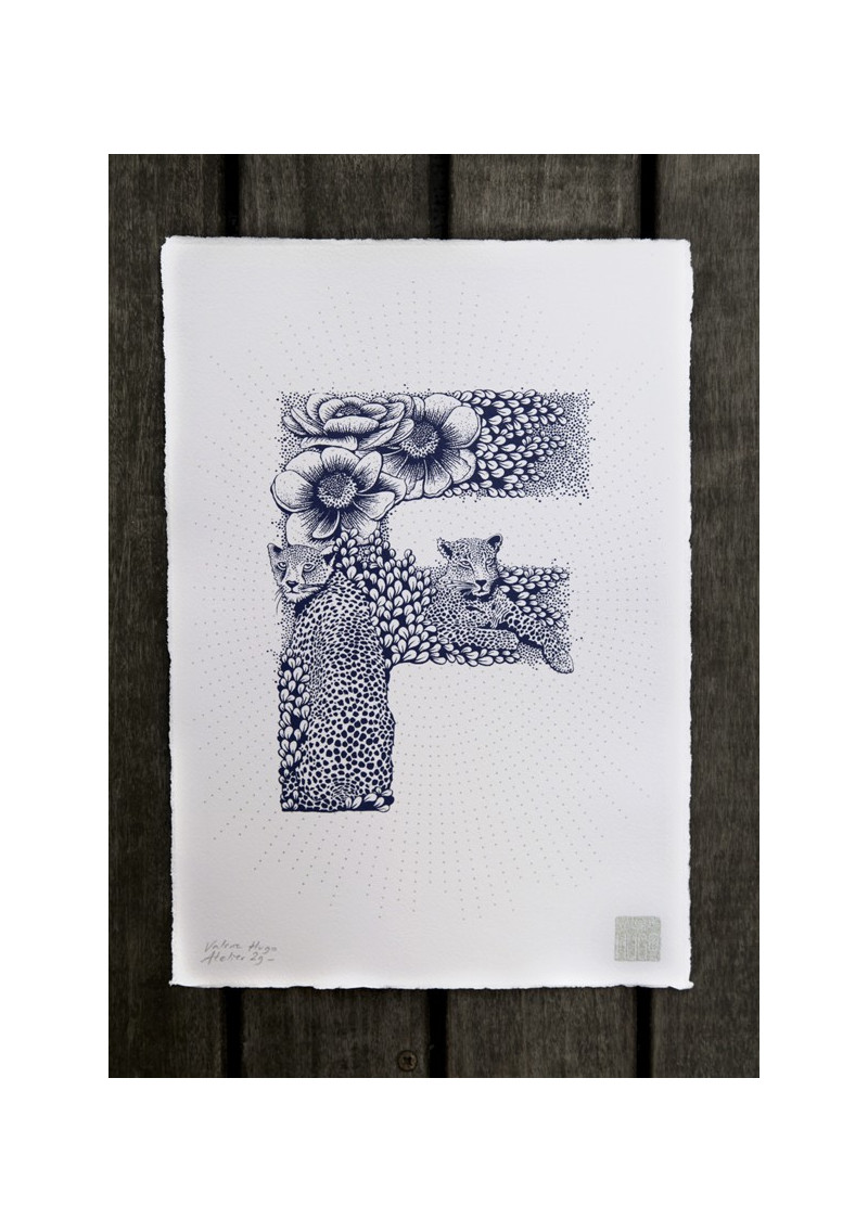 ALPHABET - F ALPHABET - F