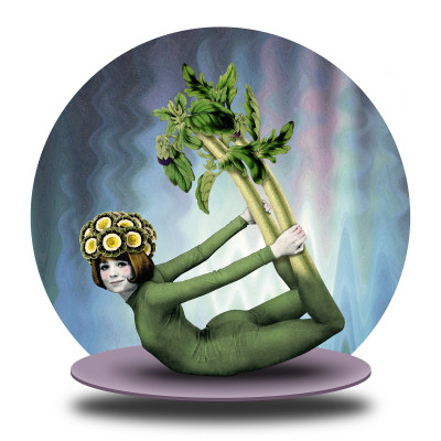 Virgin Mountains - Flore Kunst