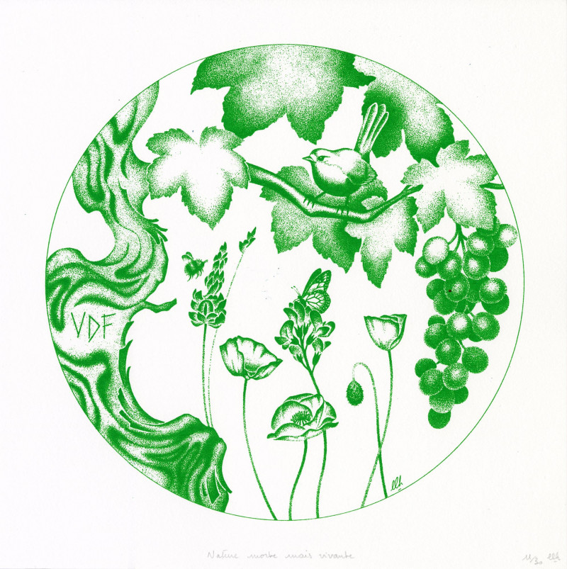 LAURÉATS VFF
