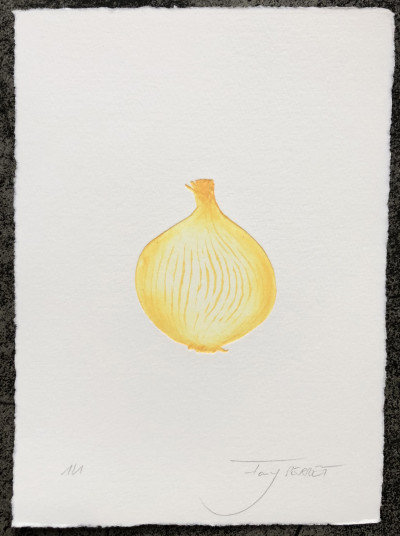 Oignon jaune