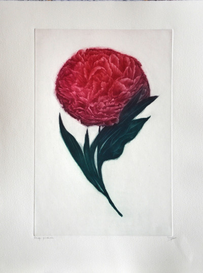Rouge pivoine