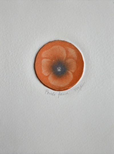 Pensée (fauve)